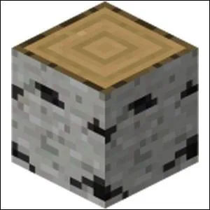 Comment s'appelle ce bloc que l'on mine avec une hache (normalement) ?