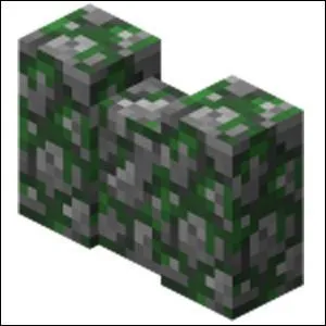 Comment s'appelle ce bloc obtenu avec des pierres se trouvant dans les donjons, forts ... ?