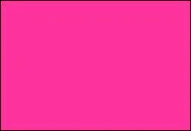 Comment dit-on rose en anglais ?