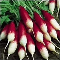 Comment s'appelle ce lgume ?