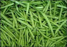 Comment s'appelle ce lgume ?