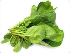 Comment s'appelle ce lgume ?