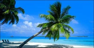 Parmi ces 4 villes des Carabes, quelle est la ville intruse ?