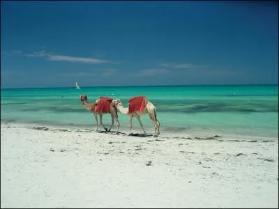 Voici des villes situes au Maghreb. Une seule pourtant est  exclure de cette liste. Laquelle ?