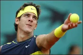 Quelle est la position au classement ATP de Juan Martin Del Potro ?