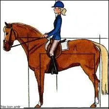 Lorsque je suis assis sur mon cheval, l'arrire main se situe...