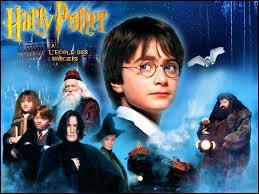 Dans  Harry Potter  l'cole des sorciers , qui vient chercher Harry chez les Dursley ?