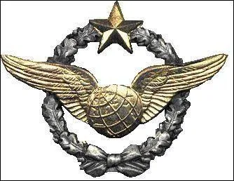 A l'ge de 18 ans, il fut l'un des premiers rsistants en faisant vader plusieurs prisonniers de guerre ! En plus, il a men une campagne de guerre exceptionnelle en tant que navigateur bombardier du groupe Lorraine ! Il est dcd en 2003 aprs une longue carrire d'agriculteur !