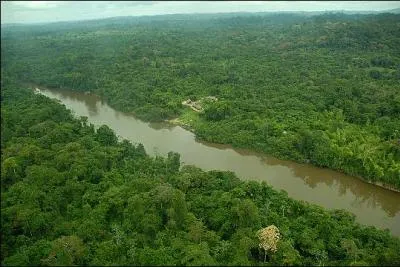 Le Suriname a une densit de population de 2, 7 hab/km2. Quelle est sa langue officielle ?