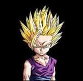 De qui Sangohan est-il le fils ?