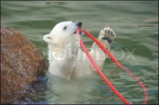 Que a fait du bien de prendre un bain ! La capitale de Malte est (c'est aussi un ruisseau en Puy-de-Dme) :