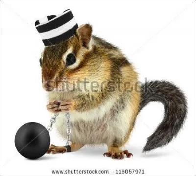 Au dix-neuvime sicle, le docteur Lombroso publia une thorie affirmant que tous les gauchers taient :