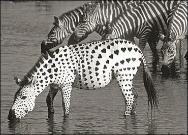 Noir et blanc, deux opposs ! Selon les religions juive et chrtienne, le ct gauche reprsentait :