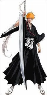 Dans  Bleach , Ichigo fait le serment de :