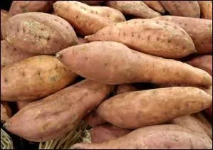 Il s'agit d'une rivire de Franche-Comt (son fminin dsigne ce fculent) :