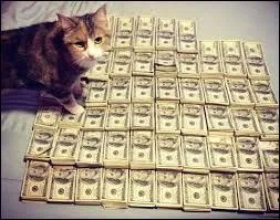 Nous voulons acheter un terrain prs d'un cours d'eau (il va falloir conomiser puisqu'il y a un adjectif qui qualifie ce terrain) :