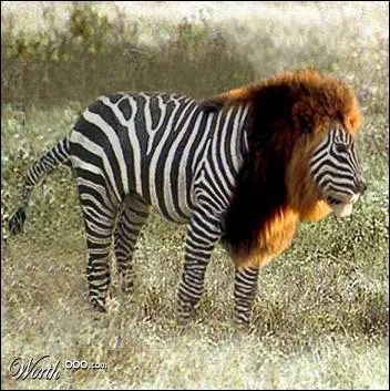 C'est un fleuve qui passe par un dpartement dont la ville principale est Auxerre :