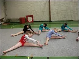 Que font-ils avant de suivre un cours ?