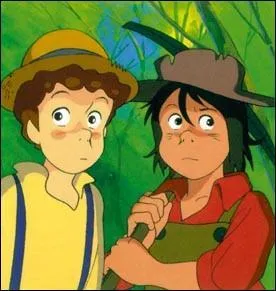 Comment s'appelle le petit frre de Tom Sawyer ?