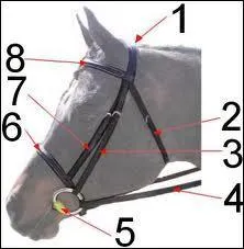 Les parties du filet sont :