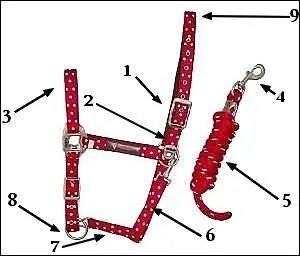 Parties du licol : quelles sont les parties 3, 4, 6, et 7 ?