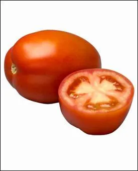 Particulièrement charnue et très populaire cette tomate ne renferme que très peu de graines et se laisse facilement peler. Son arôme intense et sucré, la prédestine aux salades et à la mise en conserve.