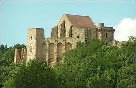 Ce chteau, termin sous Louis XI, domine la valle de Chevreuse. Son donjon fut remani au 17me sicle sous la supervision de Jean Racine, le clbre dramaturge. Quel est ce chteau ?