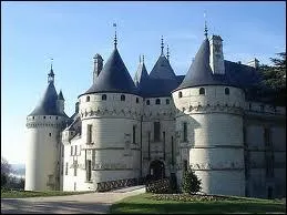 difi par Nicolas Bachelier, architecte toulousain clbre, au XVIe sicle, ce chteau, pour ses salles du rez-de-chausse, est de style 'troubadour'. Quel est ce chteau ?