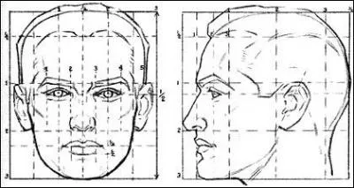 De quelle longueur est la distance entre les deux yeux ?