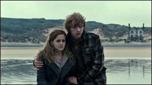 Dans 'Harry Potter', Hermione a deux enfants avec Ronald qui s'appellent :