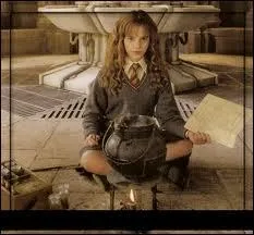 Dans 'Harry Potter et la Chambre des Secrets', Emma Watson s'est...