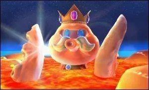 Quel est le nom de ce gros poulpe ?