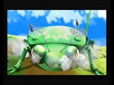 Quel est le nom de ce gros insecte ?