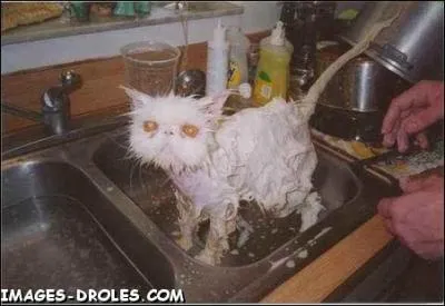 C'est l'heure de la douche ! C'est une marque de produits cosmtiques du groupe Henkel :