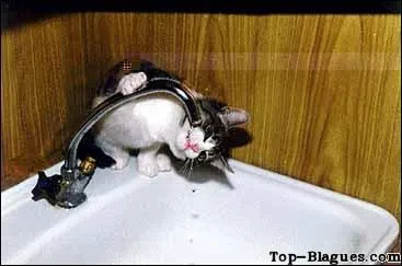 Une petite soif ? Compltez-moi cette expression  qui a... boira  :