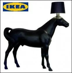 Le petit du cheval s'appelle un :