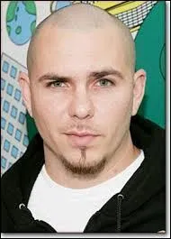 Qui chante avec Jennifer Lopez  Live It Up  ?