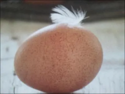 Ce proverbe suggre qu'il n'existe pas de petit vol. Ds que l'on commet un vol minime, on est capable de renouveler ce geste de faon amplifie. Quel est ce proverbe ?