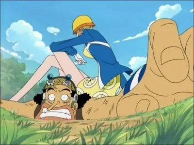 Quel est le fruit du dmon de Miss Valentine ?