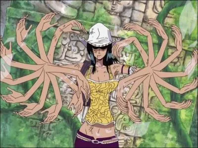 Quel est le fruit du dmon de Nico Robin ?
