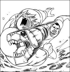 Lors de la bataille de Fairy Tail, qui est le gagnant du combat Wang contre Joey ?