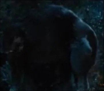 Comment s'appelle les poneys qui se font enlever par les trolls ?