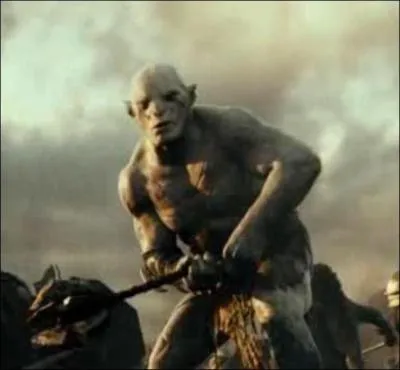 L'orc ple vient de :