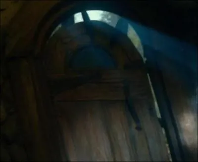 Les grosses araignes sont des descendantes de :