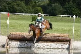 Quelle est la dfinition de C. C. E. ?