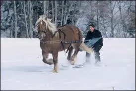 Devinez qui suis-je ?