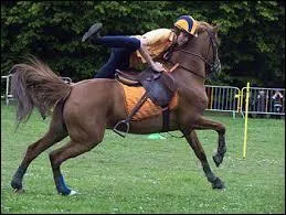 Les jeux  poney ou  cheval s'appelle ?