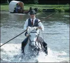 Quelle est cette discipline et quelle est sa dfinition ?