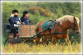 Maintenant une photo qui reprsente ?