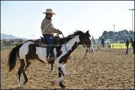 Et maintenant, essayez de trouver cette discipline. Alors avez-vous trouv ?